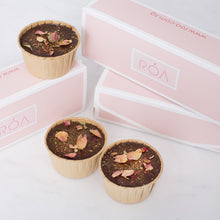 Load image into Gallery viewer, MIDNIGHT™ CLASSIQUE DARK CHOCOLATE CUPCAKES