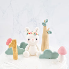 Load image into Gallery viewer, THE CAKE DRESSER FONDANT CAKE TOPPER SETS
